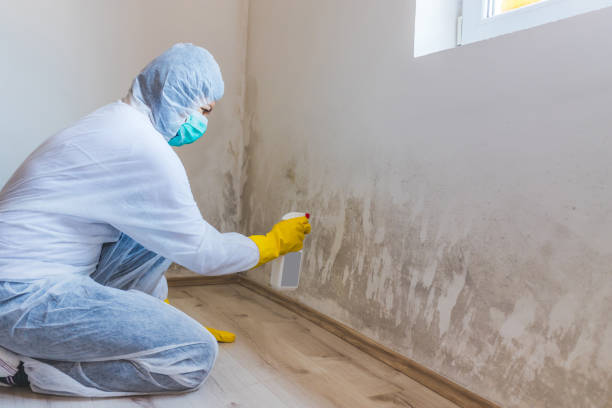 Mold Remediation specialist working in Jamestown